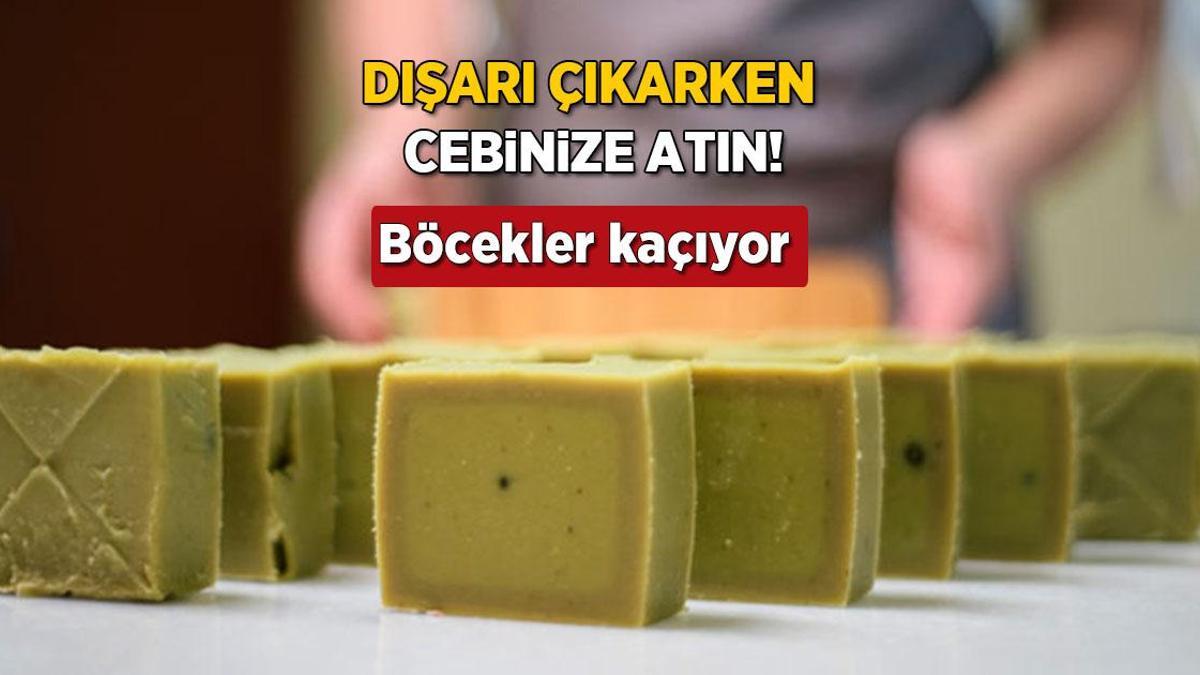 Dışarı çıkarken cebinize ‘sabun’ atın! Börtü böcek kokusuna dayanamıyor